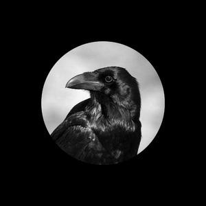 手机看片1024免费
