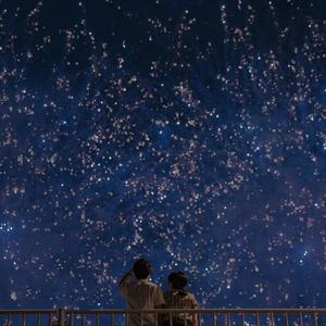 手机看片1024免费
